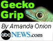 The Gecko Scoop